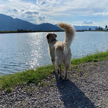 For * Maria Alm am Steinernen Meer