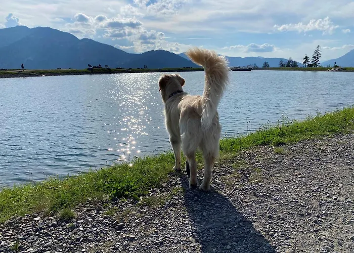 For * Maria Alm am Steinernen Meer